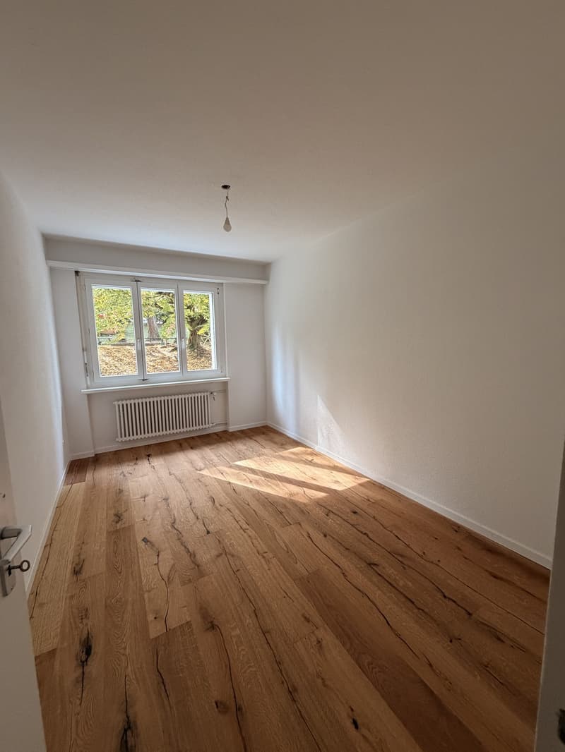 Erstvermietung nach Totalsanierung (9)