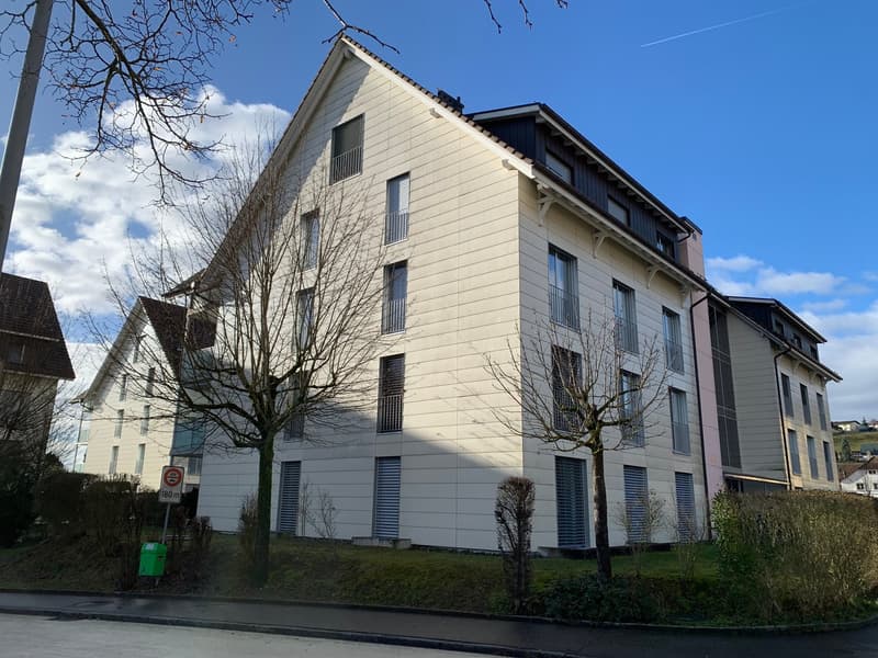 Duplex-/Maisonette-Wohnung in Erlinsbach (2)