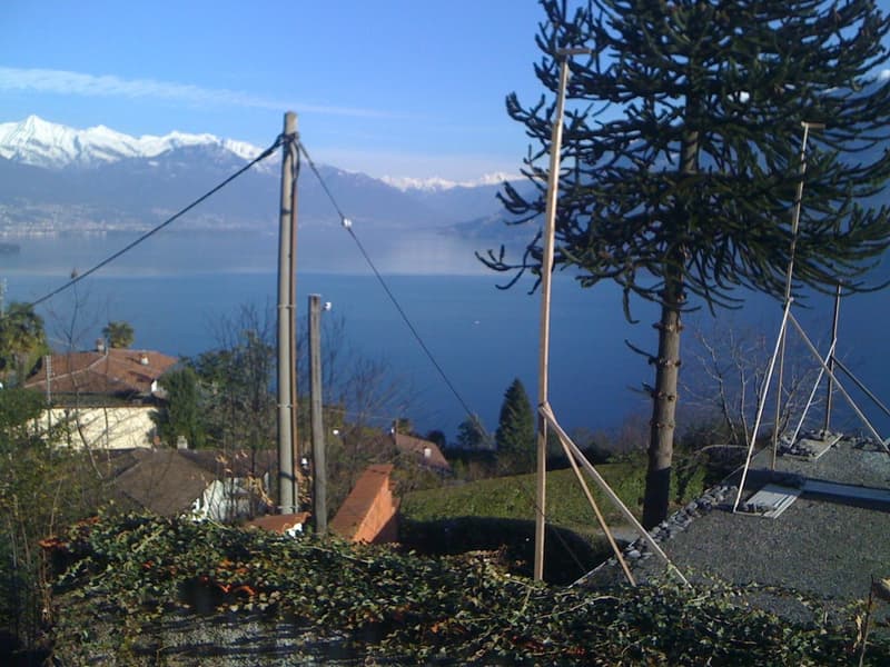 Wiesen- und Waldgrundstück mit einmaliger Sicht in Brissago (2)