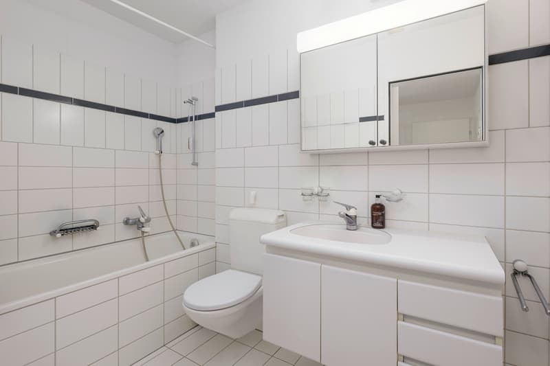 Familienfreundliche 5.5-Zimmer Dachmaisonette-Wohnung (9)