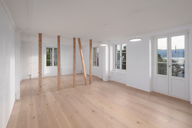 Aussergewöhnliches Herrenhaus-Ensemble am Zürichsee (6)