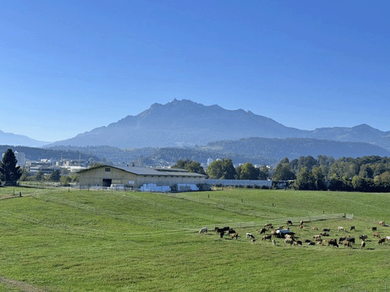 Aussicht Richtung Pilatus
