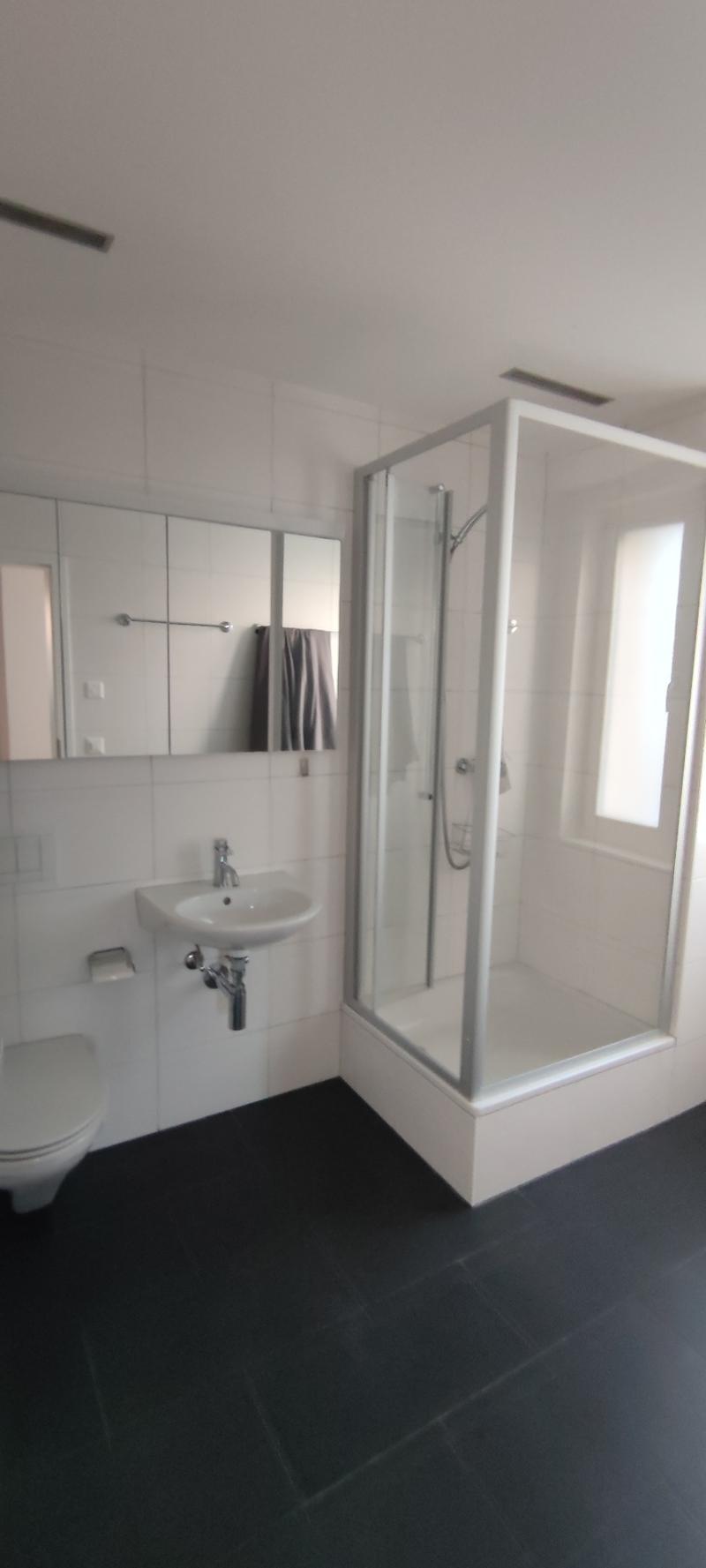 Urbanes 3.5-Zimmer-Einfamilienhaus mit 1 Zimmer-Einliegerwohnung und Stellplatz in Winterthur (14)