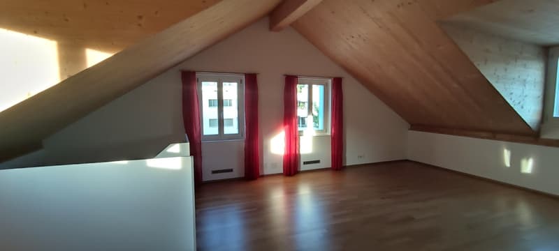 Urbanes 3.5-Zimmer-Einfamilienhaus mit 1 Zimmer-Einliegerwohnung und Stellplatz in Winterthur (23)