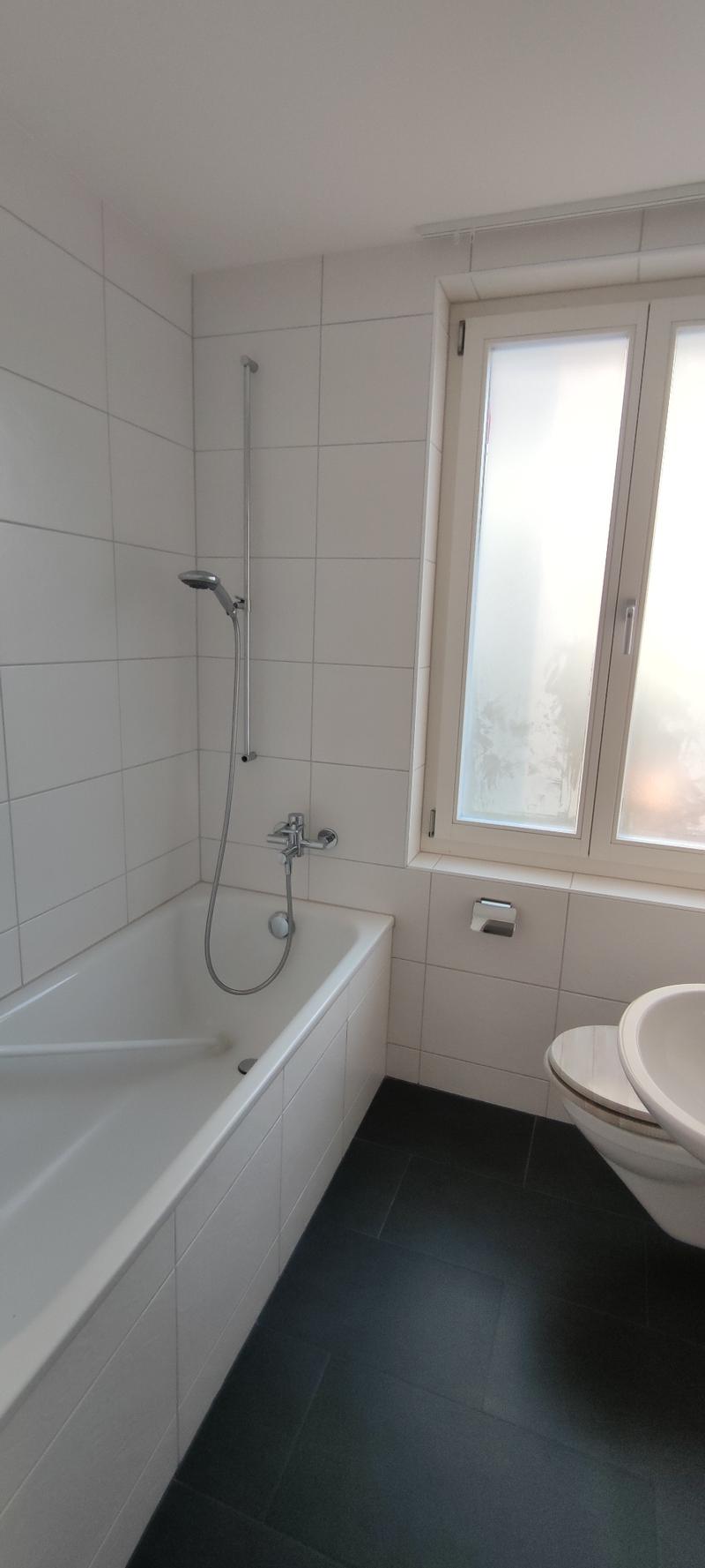 Urbanes 3.5-Zimmer-Einfamilienhaus mit 1 Zimmer-Einliegerwohnung und Stellplatz in Winterthur (9)