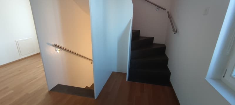 Urbanes 3.5-Zimmer-Einfamilienhaus mit 1 Zimmer-Einliegerwohnung und Stellplatz in Winterthur (11)