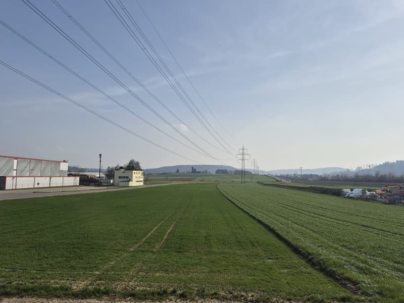 Gewerbebaulandgrundstück (7'122 m2), Kat. 2739, Riethofstrasse, 8442 Hettlingen (3)