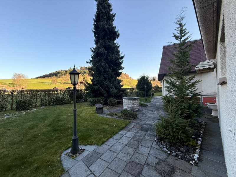 Garten / Aussenbereich
