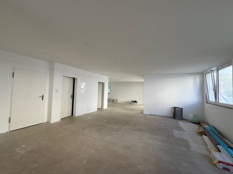 Spazio commerciale in posizione primaria, vicino alla città di Olten! (4)