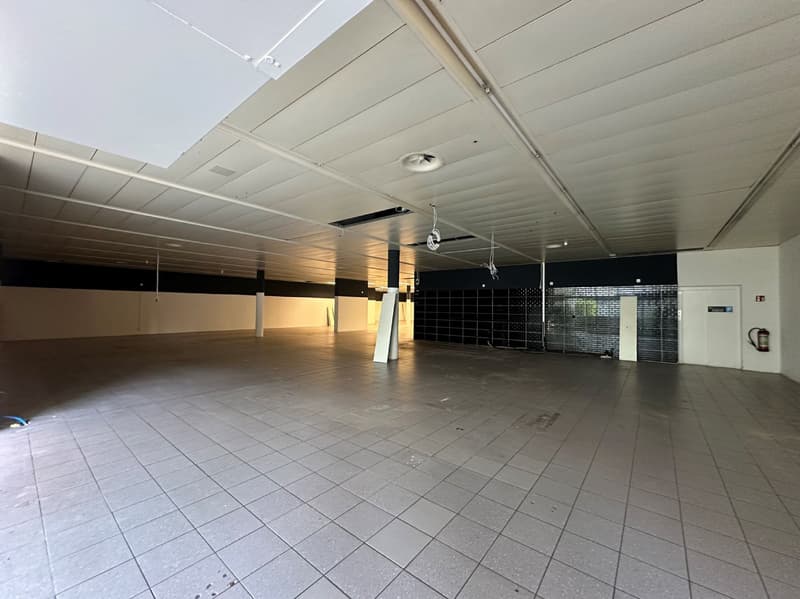 Attraktive Gewerberäumlichkeit mit Einstellhalle und großem Lager! (4)