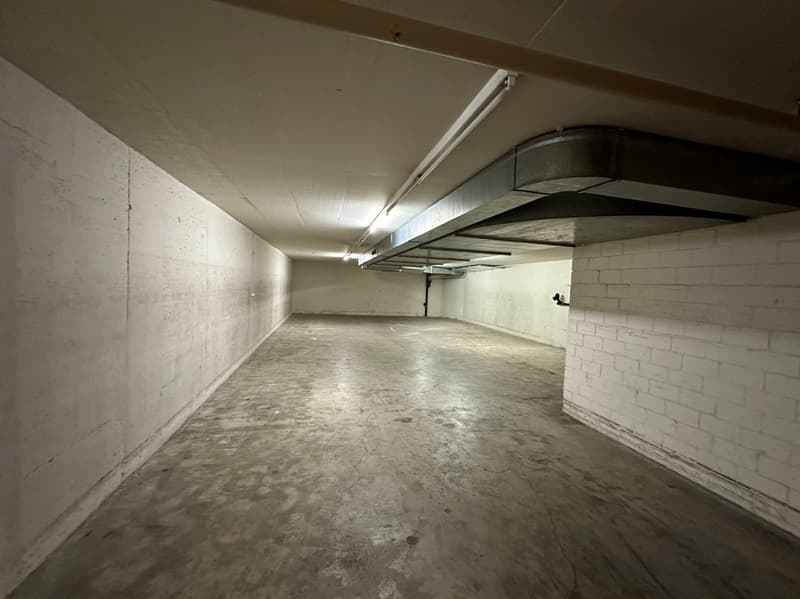 Attractive commercial space with parking hall and large warehouse! (11)