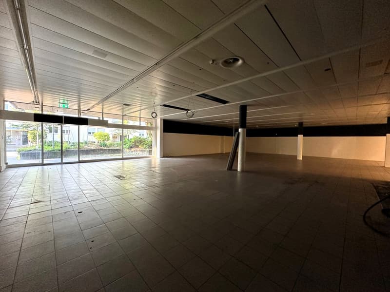 Attraktive Gewerberäumlichkeit mit Einstellhalle und großem Lager! (3)