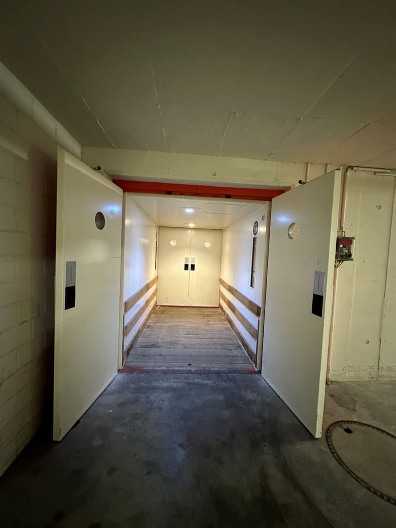 Attraktive Gewerberäumlichkeit mit Einstellhalle und großem Lager! (13)