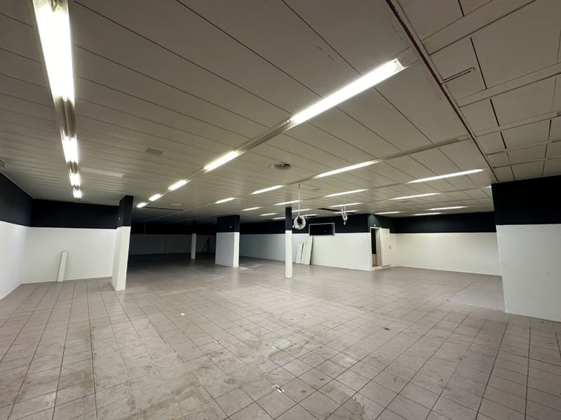 Attractive commercial space with parking hall and large warehouse! (5)