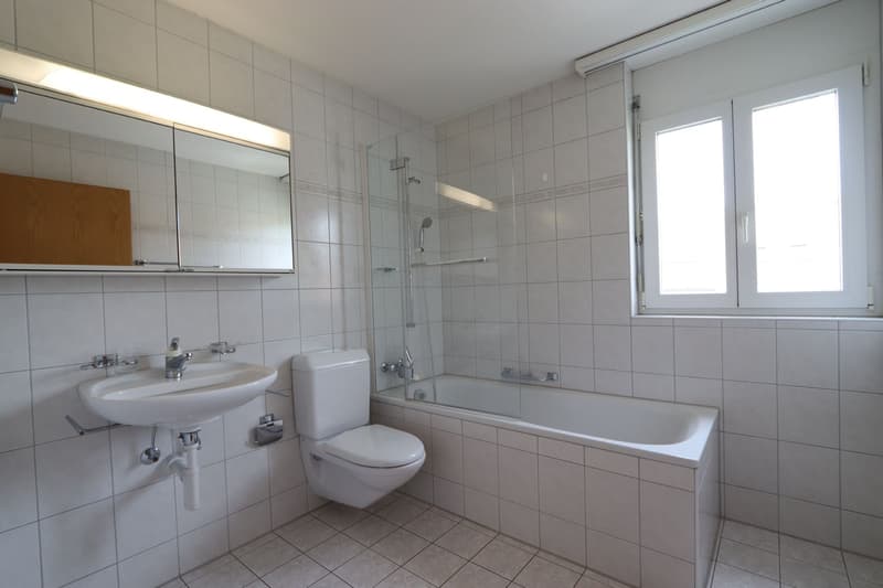 Wohnglück in Gunzgen - 4.5-Zimmerwohnung (8)