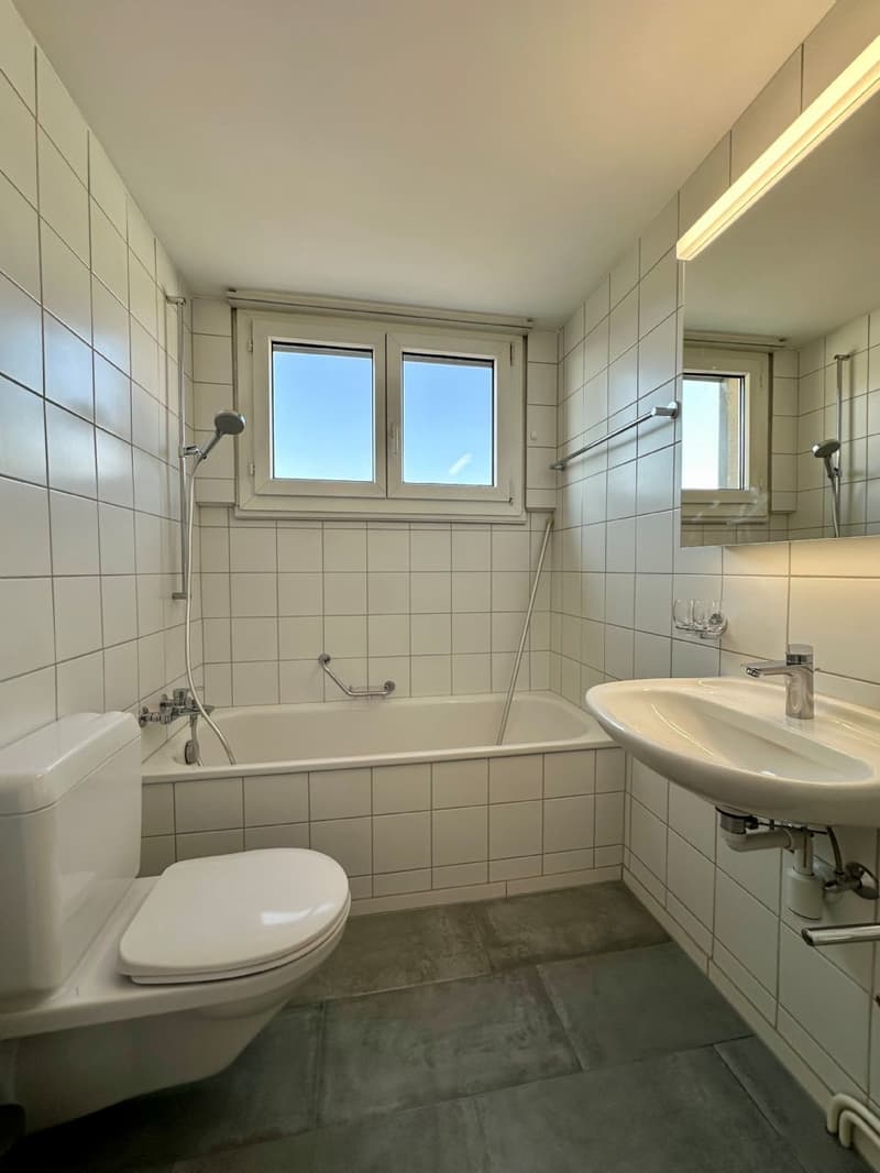 Frisch sanierte und helle 2.5-Zimmerwohnung an zentraler Lage zu vermieten! (3)