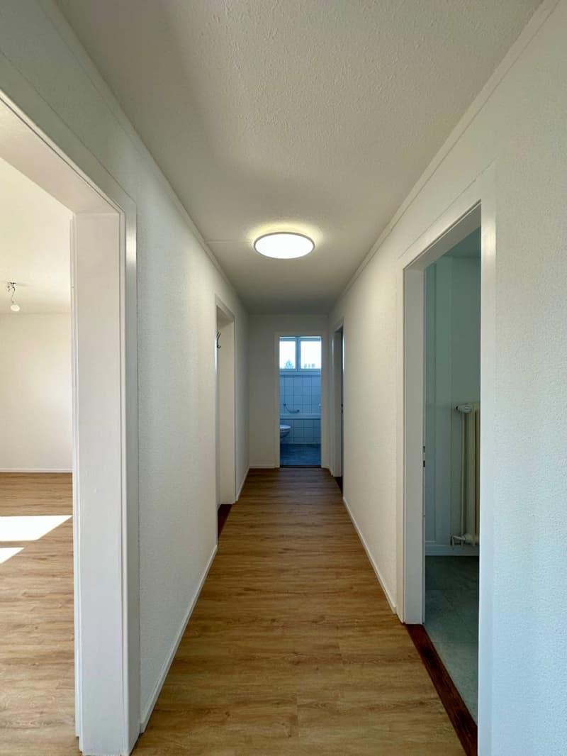 Appartamento di 2,5 locali frescamente ristrutturato e luminoso in affitto in una posizione centrale! (7)