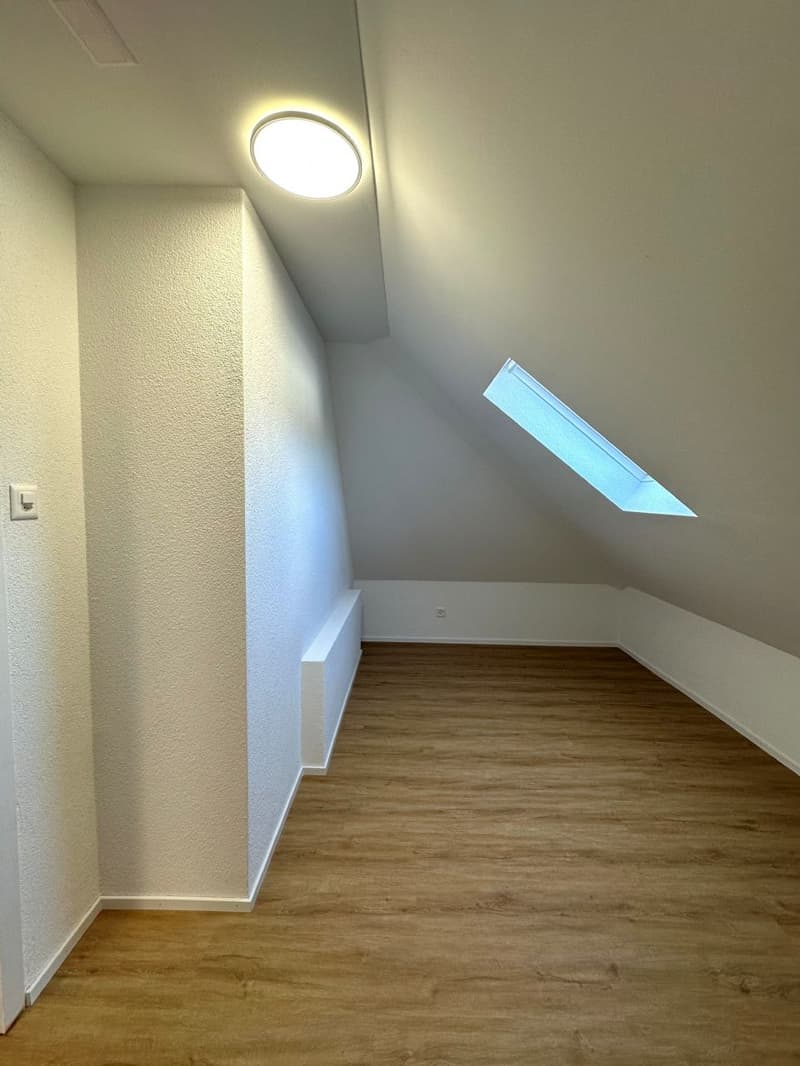 Appartamento di 2,5 locali frescamente ristrutturato e luminoso in affitto in una posizione centrale! (6)