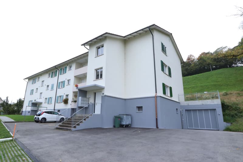 Totalsanierte Wohnung in ruhigem Quartier! (1)
