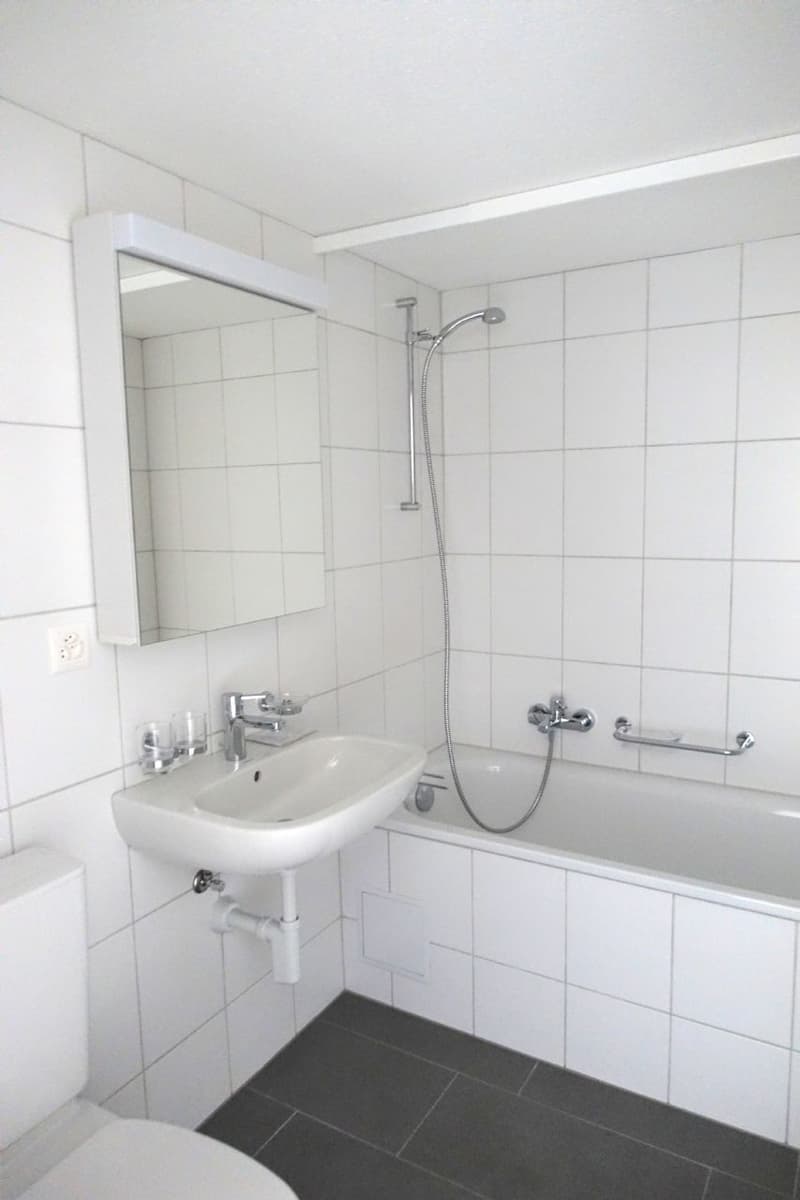 Totalsanierte Wohnung in ruhigem Quartier! (2)