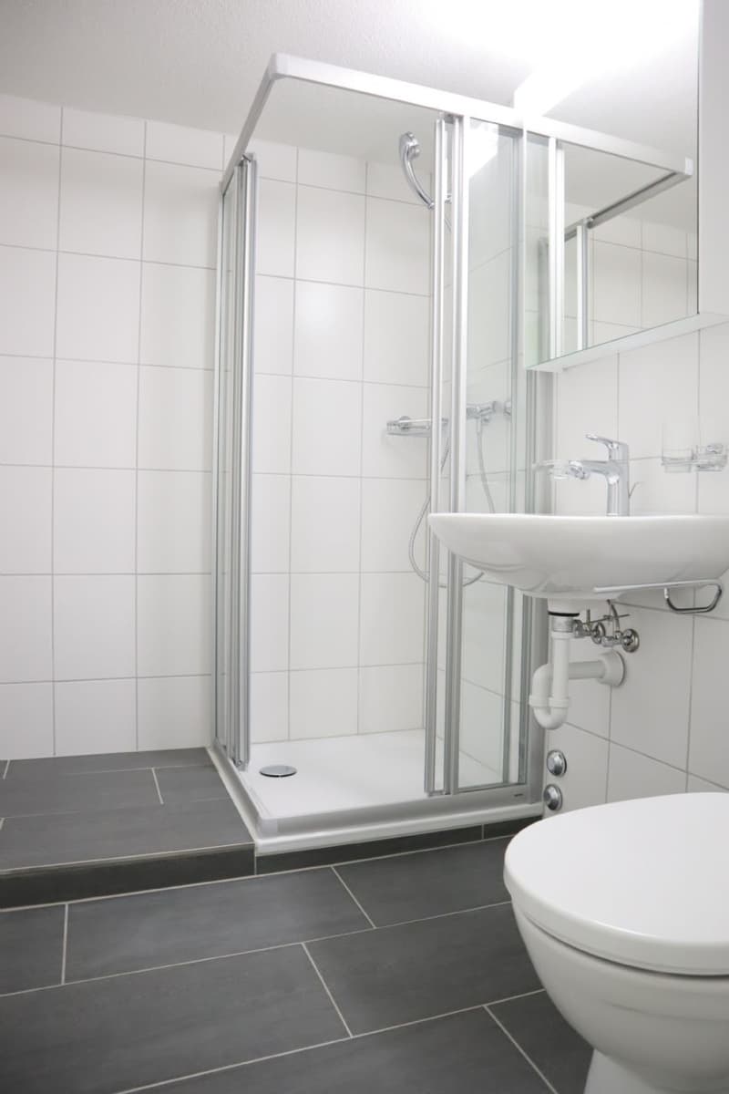 Totalsanierte Wohnung in ruhigem Quartier! (3)