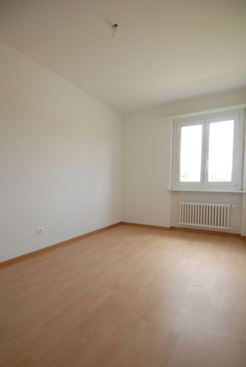 Totalsanierte Wohnung in ruhigem Quartier! (6)