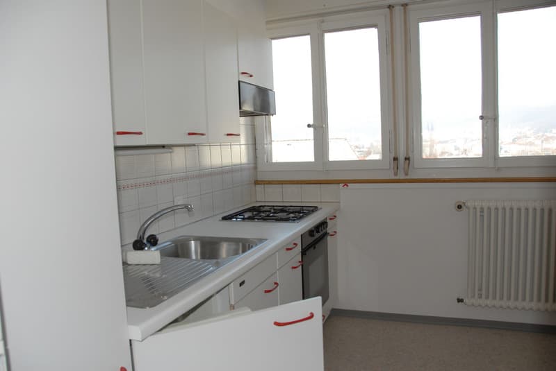 Ruhiges Mehrfamilienhaus im Sälipark-Quartier, Nähe öV! (2)