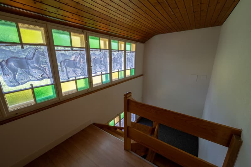 idyllisches, historisches Bauernhaus an zentraler Lage (13)