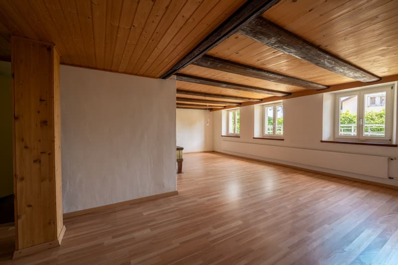 idyllisches, historisches Bauernhaus an zentraler Lage (4)