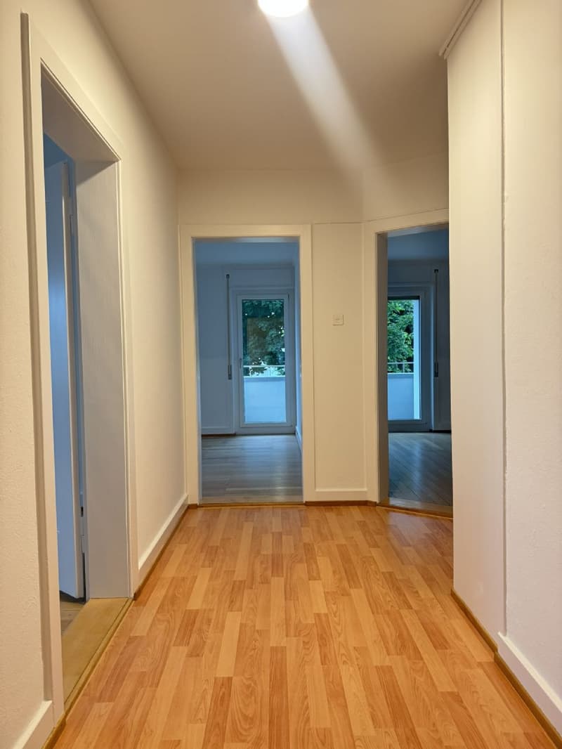 Wohnen an zentraler Lage zwischen Olten/Aarau, Nähe öV/Einkauf (8)