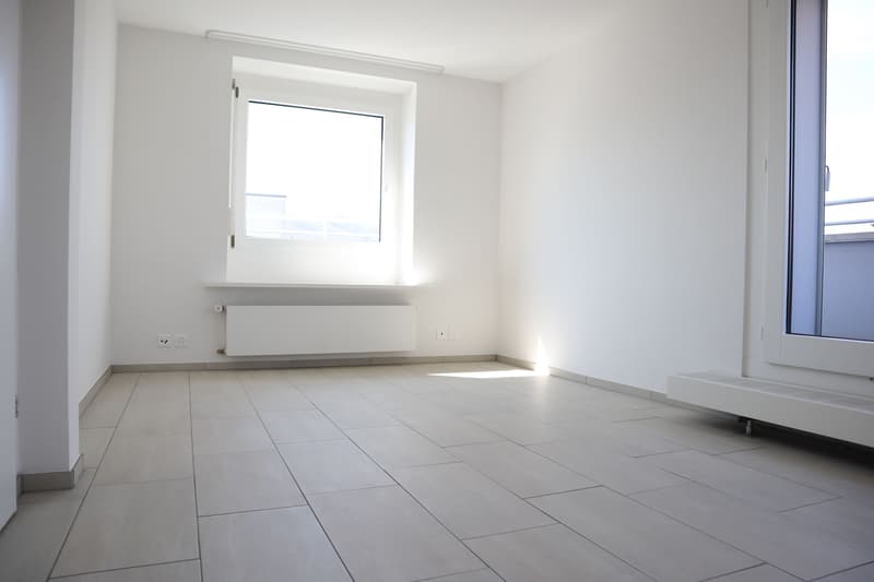 Attikawohnung im Herzen von Olten! (3)