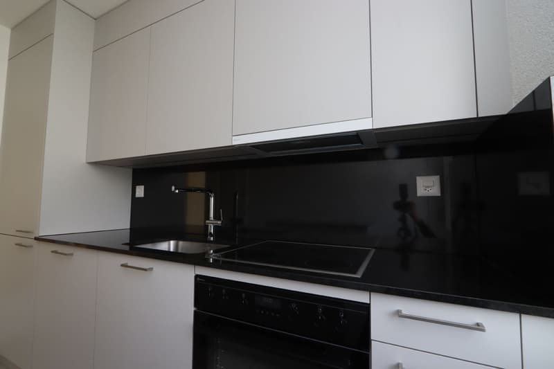 Ihr neues Zuhause in einem ruhigem Quartier! (4)