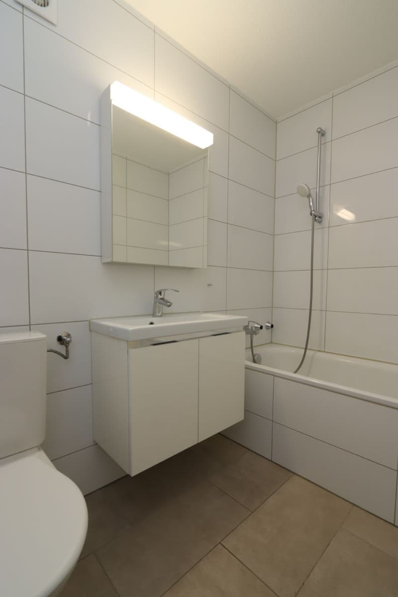 Ihr neues Zuhause in einem ruhigem Quartier! (5)