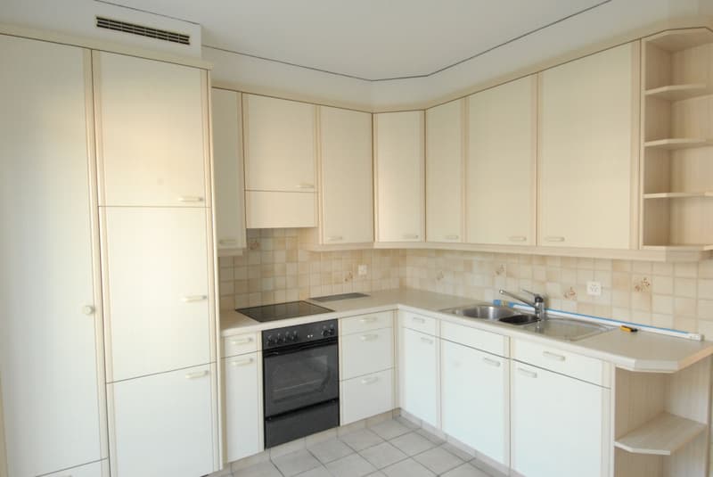 Charmante Wohnung in ruhigem Quartier, Nähe öV/Stadtzentrum! (2)