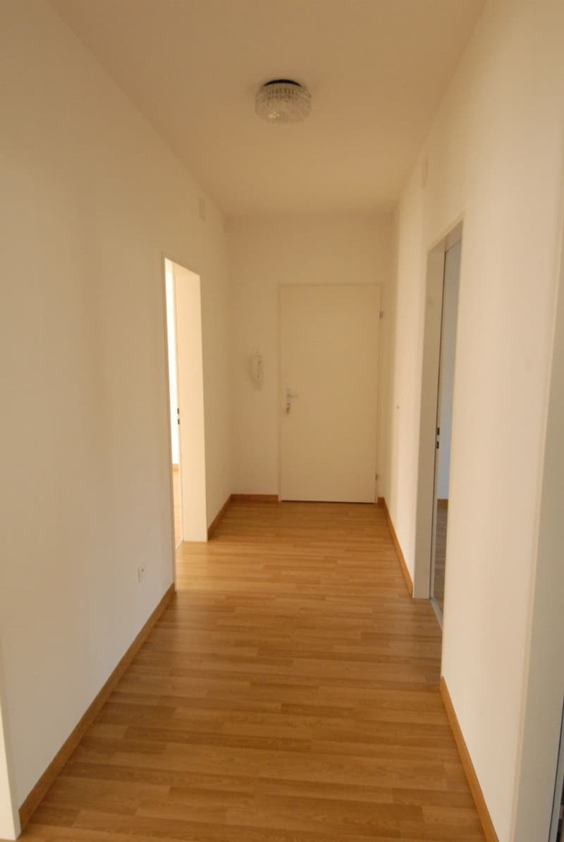Charmante Wohnung in ruhigem Quartier, Nähe öV/Stadtzentrum! (6)