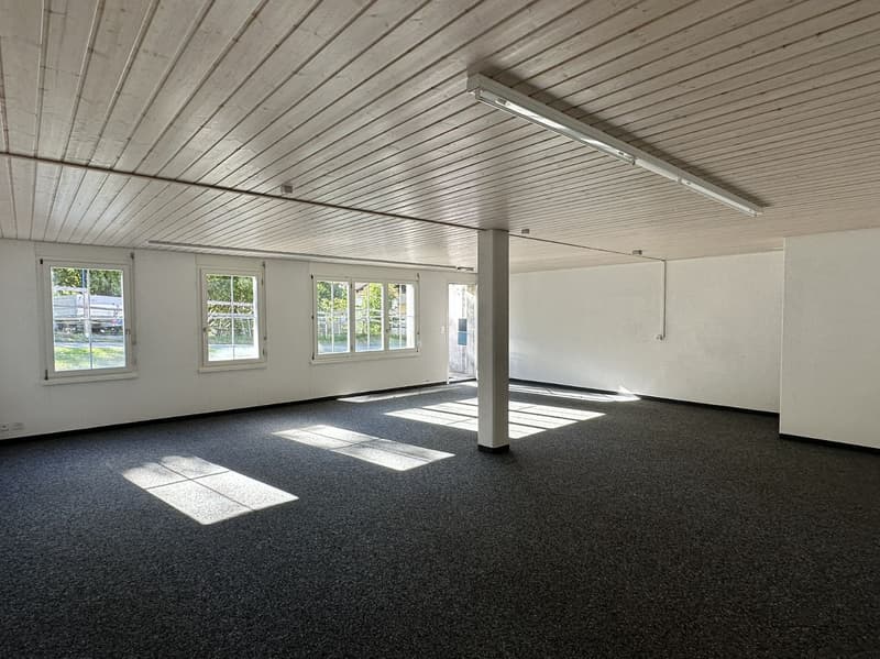 Grosszügige Gewerbefläche zu vermieten! (4)