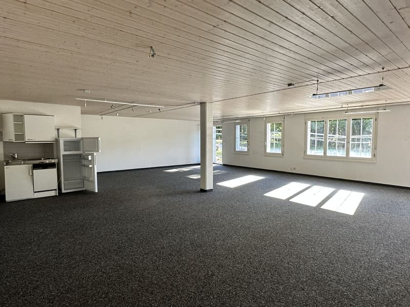 Grosszügige Gewerbefläche zu vermieten! (1)