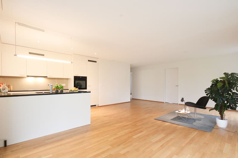 Familienwohnung an toller Lage! (1)