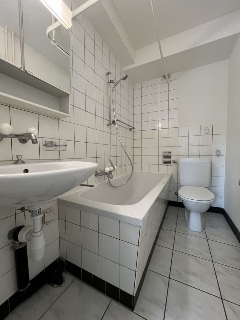 Kinderfreundliche Wohnung Nähe Einkauf und ÖV! (3)