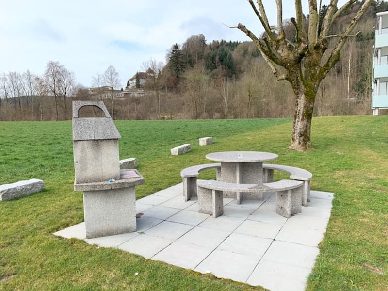 Attikawohnung mit grosser Terrasse! (6)