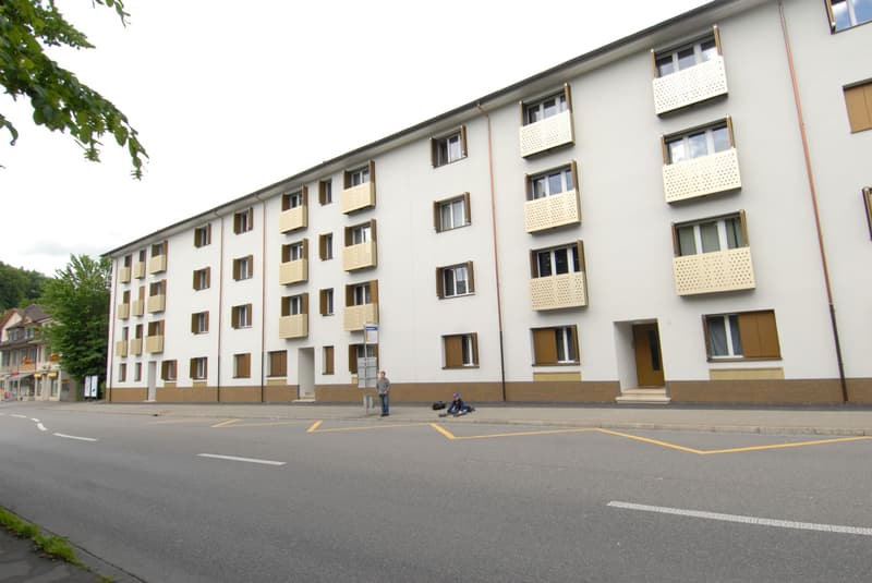 Ihr neues Zuhause im Zentrum von Aarau, direkt an der Aare! (5)