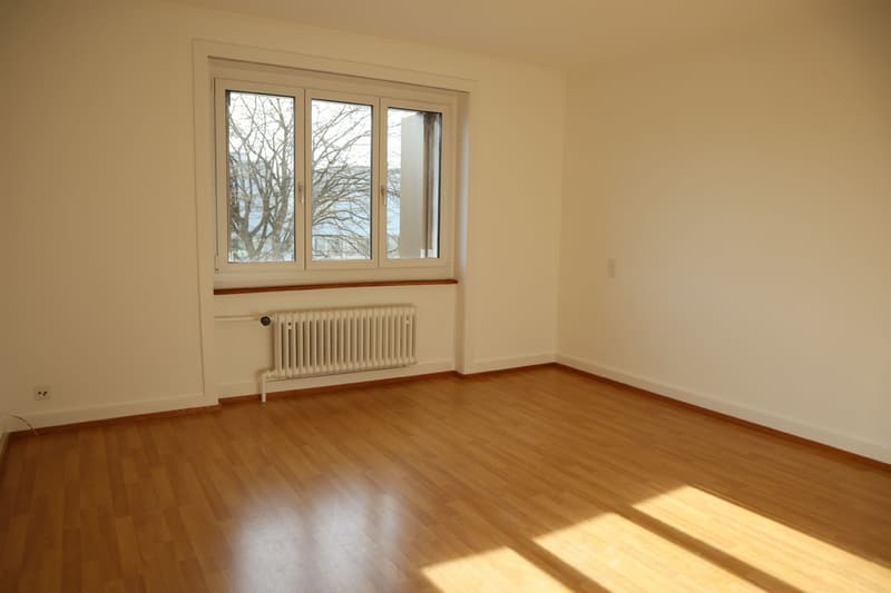 Leben Sie am Puls der Stadt Aarau! (5)