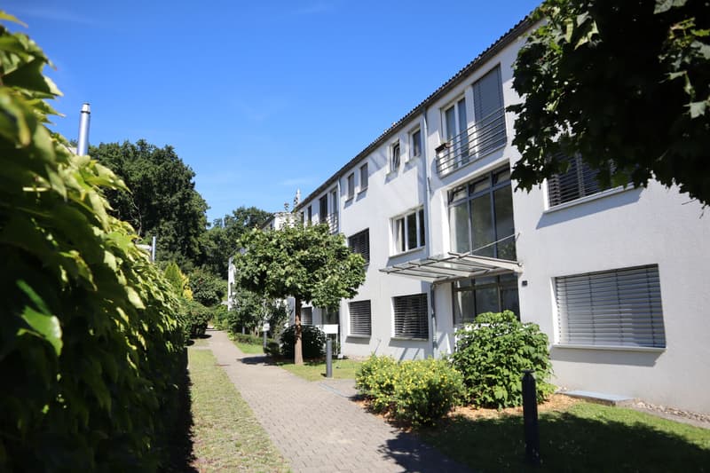 Die Sonne auf Deinem neuen Sitzplatz geniessen? (1)