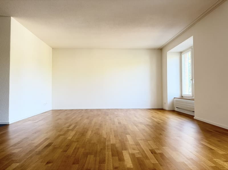 Charmantes Wohnen im Herzen von Olten! (6)