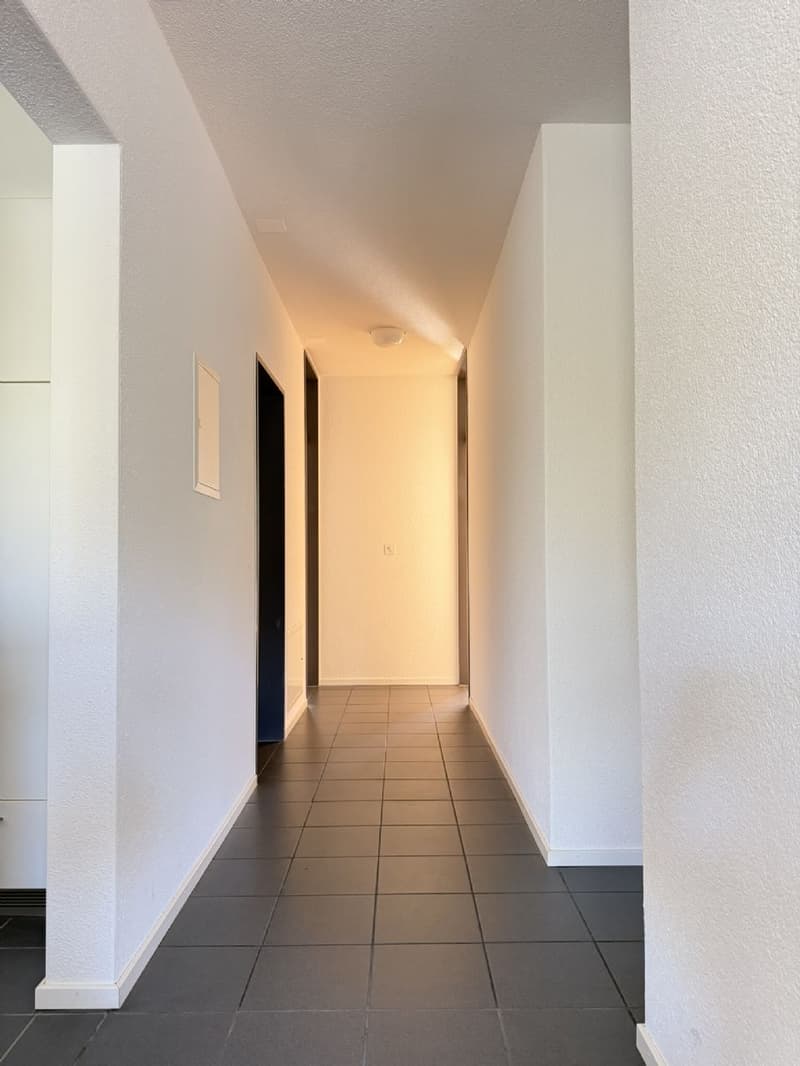 Charmantes Wohnen im Herzen von Olten! (5)