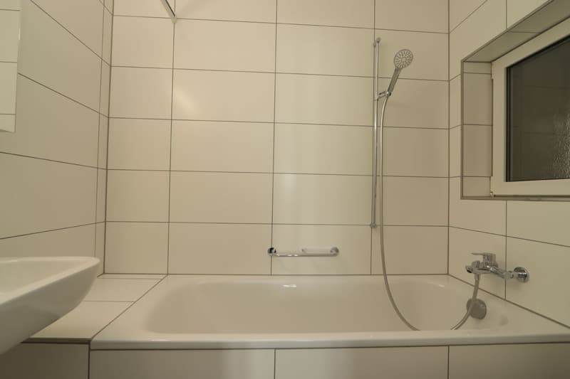 Wohnung direkt neben dem Vögeligarten! (3)