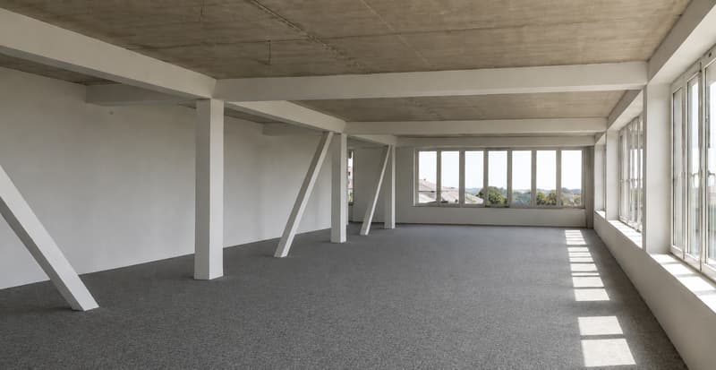 Neue Bürofläche im 4. OG mit 223m2 mit grosser Dachterrasse (5)