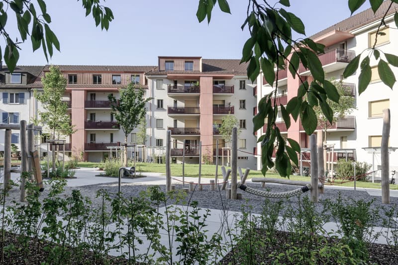 Tolle Pendler-Wohnung zwischen Olten/Aarau, Nähe ÖV/Einkauf! (1)