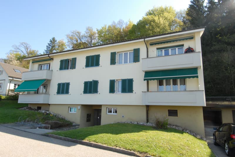 Teilsanierte Wohnung an ruhiger Lage im Grünen, direkt am Waldrand! (10)