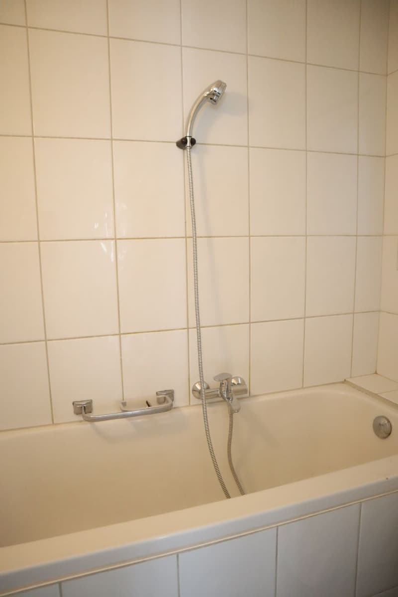 Ihr neues Zuhause neben dem Vögeligarten! (3)
